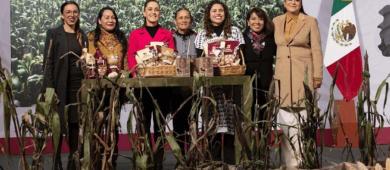 Gobierno lanza plan para proteger y fortalecer el cultivo del maíz nativo