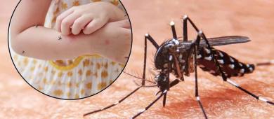 Casos de dengue en México rozan los 17 mil; hay dos estados sin contagios