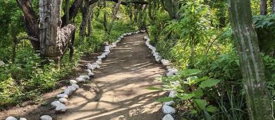 Reconocen al ejido El Rosario por su labor en la conservación del Santuario de los Cactus