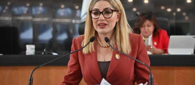 Presenta diputada Karina Olivas iniciativa para regular cirugías estéticas a menores de edad en BCS
