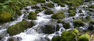 Diputados aprueban reservas a la Ley General de Aguas