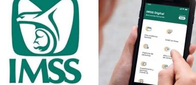 Registra IMSS 22.8 millones de trabajadores afiliados, la cifra más alta de la historia