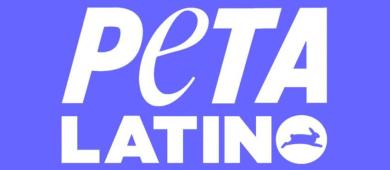 PETA Latino nombra a Sheinbaum Persona del Año; esta es la razón