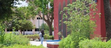 UABCS inicia periodo vacacional de invierno en todas sus sedes del estado