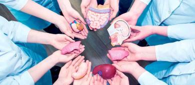 Salud lanza campaña nacional para impulsar la donación de órganos y aumentar los trasplantes