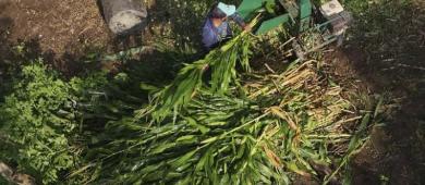 México sólo produce 44.1% de alimentos que consume; autosuficiencia alimentaria, cada vez más lejos