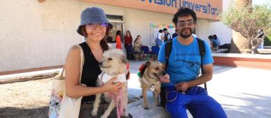 Emite UABCS recomendaciones para el cuidado de mascotas durante la temporada invernal