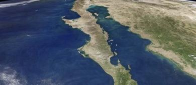 Diputado llama a reconocer ya al Golfo de California como territorio mexicano