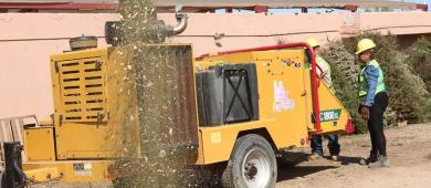 Avanza reciclaje de árboles naturales de navidad con el programa Manos a la Tierra