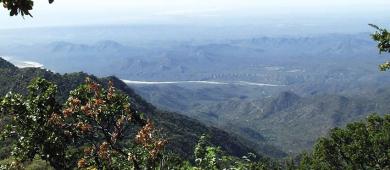 Proyectan para Sierra la Laguna la creación de un centro de conservación y reproducción de especies