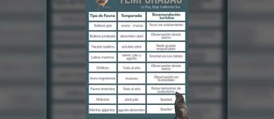 Se consolida La Paz como destino de experiencias naturales todo el año