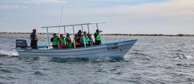 Niñas y niños de comunidades rurales de La Paz ven por primera vez a las ballenas