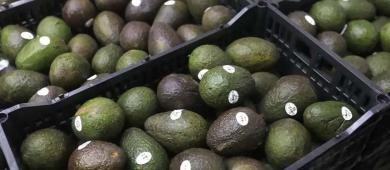El Super Bowl mueve agroexportaciones mexicanas; el aguacate, carne y garbanzo lo más vendido