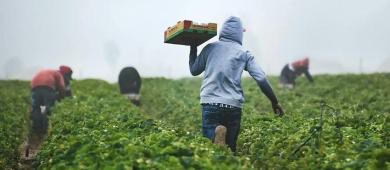 Agricultores critican baja productividad y dependencia de importaciones en México