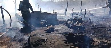 Incendio en Villa de La Paz deja 16 animales muertos y un vehículo calcinado; descartan hecho delictivo