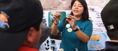 Inauguran en la UABCS el 3er Festival de las Aves Playeras de La Paz