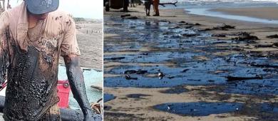 Greenpeace: mancha de crudo en el golfo de México tiene “impacto severo” en el ecosistema