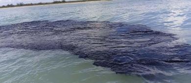 Derrame de hidrocarburos en el Golfo de México deja más de 825 toneladas de residuos