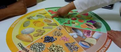 Llaman a la población evitar consumo de comida chatarra