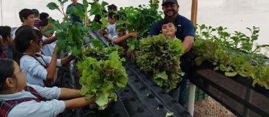 Obtienen primera cosecha del proyecto agroacuicola en Puerto Chale