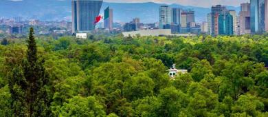 Propone Sheinbuam transformar el gasto armamentista en bienestar ambiental