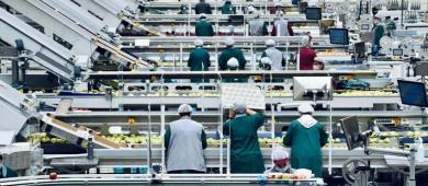 México es menos productivo que hace 25 años, advierte exdirectivo del BID