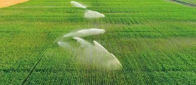 Huella hídrica en México aumenta 16.4% en los últimos 12 años por sector agrícola