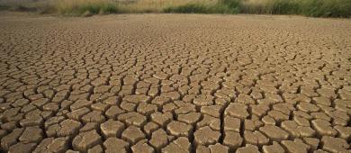 ONG alerta sobre el impacto de la crisis climática en México durante el Mundial