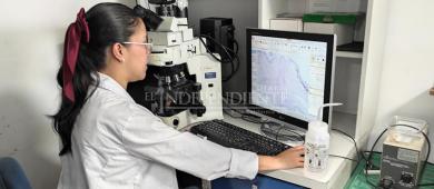 Secihti plantea fortalecer la ciencia con mayor presupuesto y coordinación nacional