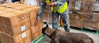 México y EE.UU. decomisan 60 mil cajetillas de cigarros en el AIFA
