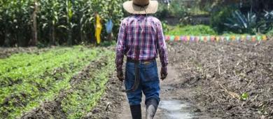Agricultores alertan por crisis en campo ante la revisión anual del T-MEC