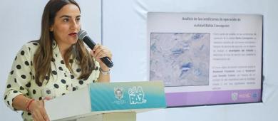 Circuito Bahía Concepción en La Paz con más de mil vehículos por hora