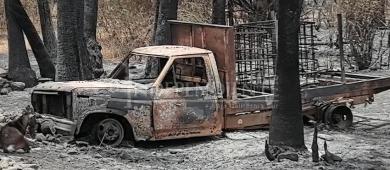 Darán empleo temporal a alrededor de 50 personas afectadas por incendio en San José de Comondú