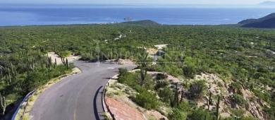 Gobernador esperará evaluación ambiental antes de opinar sobre desmonte en El Saltito