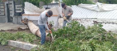 Continúan los trabajos de limpieza en el municipio de La Paz