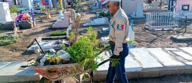 Refuerza Ayuntamiento de La Paz vigilancia y mantenimiento integral en panteones municipales