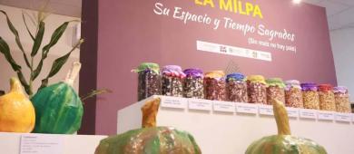 “El Maíz Nos Une”, un encuentro con las raíces y tradiciones de México: gobernador Víctor Castro
