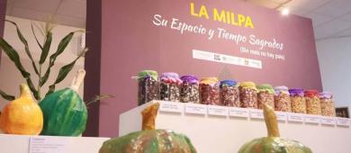 “El Maíz Nos Une”, un encuentro con las raíces y tradiciones de México: gobernador Víctor Castro
