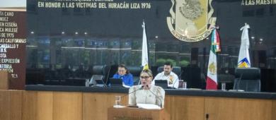 Exhorta Congreso BCS a crear programa de promoción de adopción animal entre el turismo
