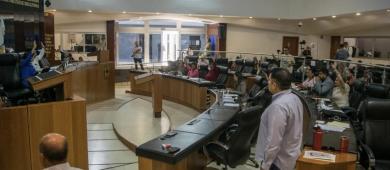 Exhorta Congreso BCS a crear programa de promoción de adopción animal entre el turismo